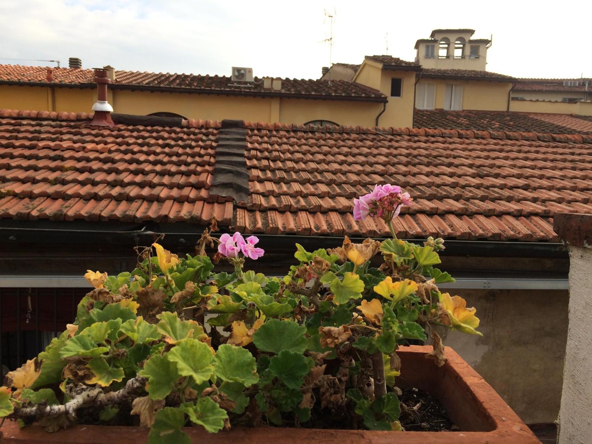 Hotel Il Bargellino Firenze Esterno foto